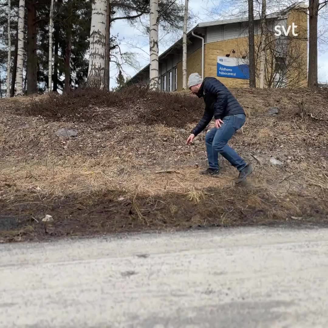 Vårblommor ovanligt tidiga i norr